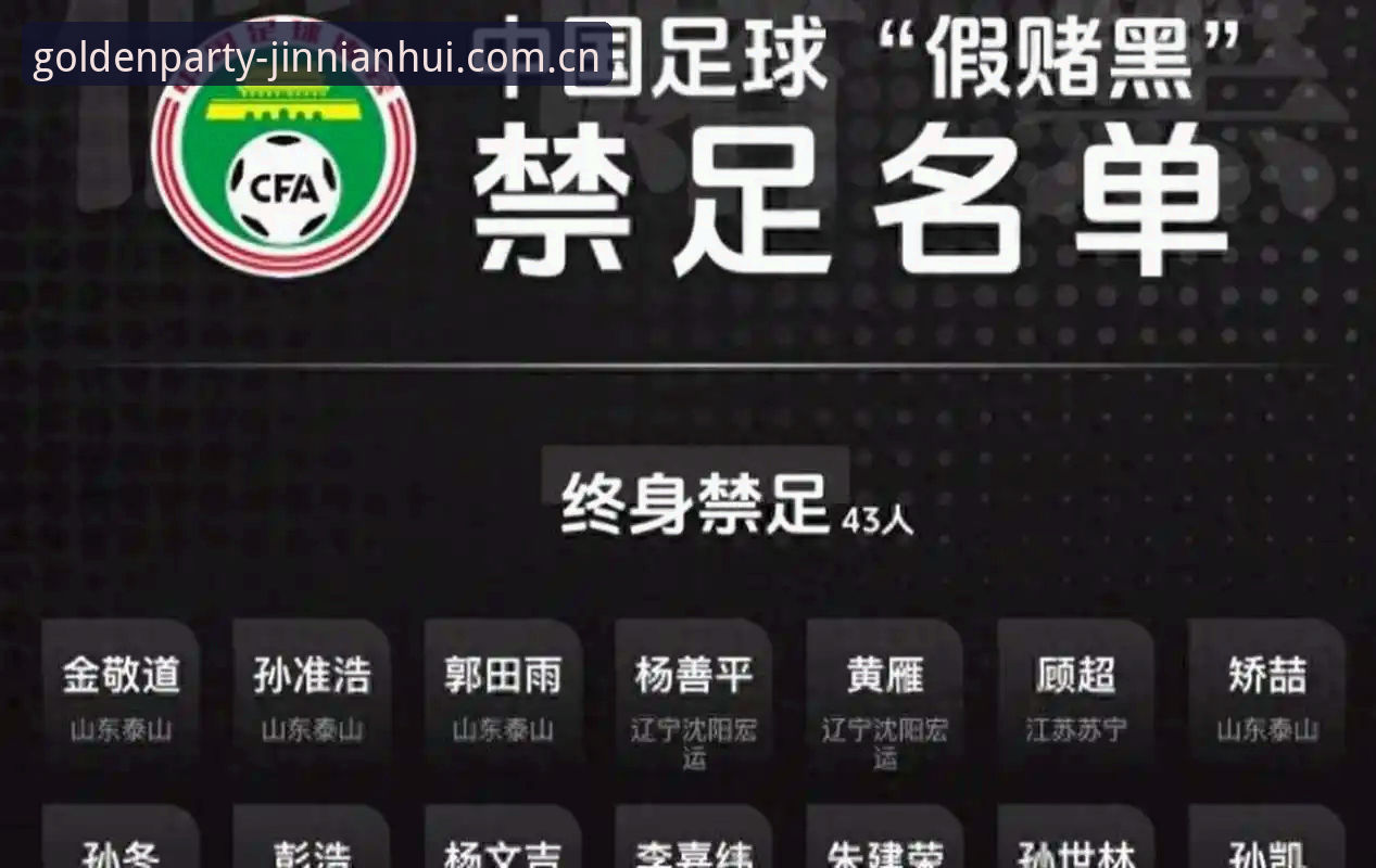 中国足球反腐风暴深度评测：金年会体育视角下的禁足名单全面分析